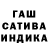 Каннабис сатива KingP818