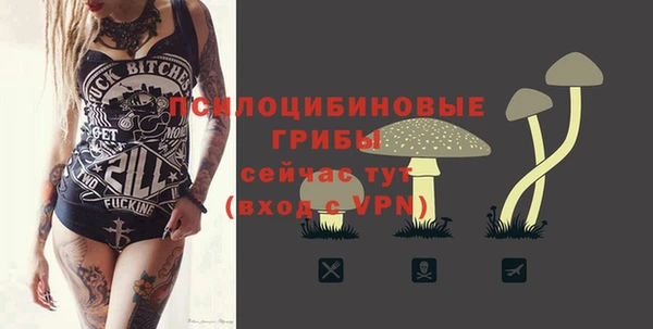 каннабис Богданович