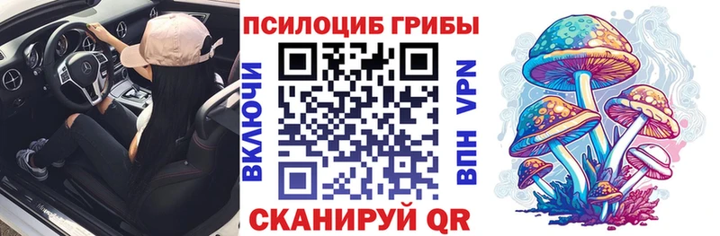Галлюциногенные грибы Cubensis  Высоцк 